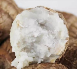 靖江香沙芋 靖江香沙芋