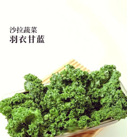 罗莎红生菜 罗莎红生菜