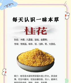 贵花有哪些用处 贵花有哪些用处