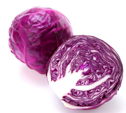 早红紫甘蓝 早红紫甘蓝