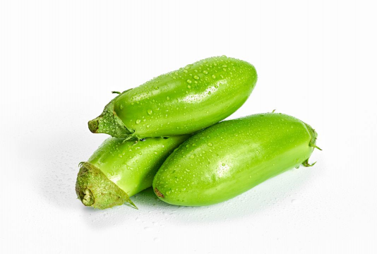 启东青皮长茄 启东青皮长茄