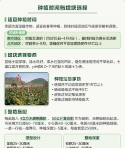 藕什么时候种植怎么种植 藕什么时候种植怎么种植