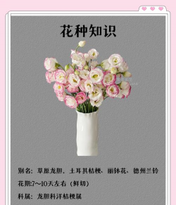 什么花的花语是神明 什么花的花语是神明