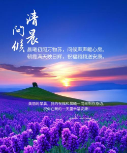 映日辉什么意思 映日辉什么意思