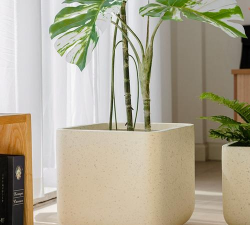 正方形种植盆怎么种植 正方形种植盆怎么种植