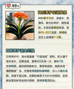 兰花根干枯怎么补救 兰花根干枯怎么补救