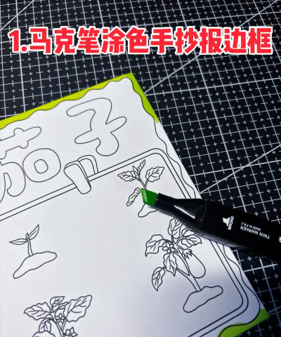 水培种植茄果怎么种植的 水培种植茄果怎么种植的