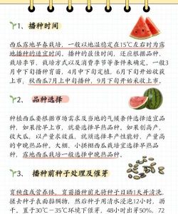 南方西瓜什么时候种植最好 南方西瓜什么时候种植最好