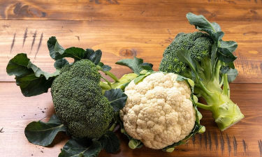 菜花西兰花属于什么科 菜花西兰花属于什么科