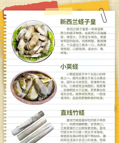 蛏子的做法 蛏子的做法