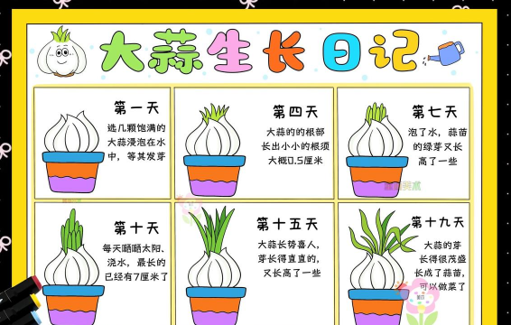 大蒜喜欢阴还是喜欢阳 大蒜喜欢阴还是喜欢阳