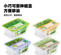 盆栽种植蔬菜籽怎么种植 盆栽种植蔬菜籽怎么种植