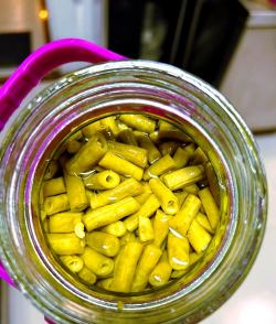 酸豆角的腌制方法 酸豆角的腌制方法