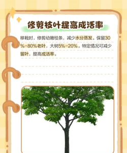 刚刚移栽的树可以施肥吗 刚刚移栽的树可以施肥吗