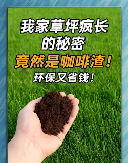 不适合咖啡渣的植物 不适合咖啡渣的植物