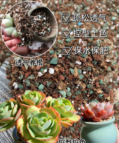 多肉土都有些什么 多肉土都有些什么