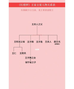 红楼梦四大家族是哪四个姓氏 红楼梦四大家族是哪四个姓氏