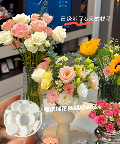 插接花卉用什么来消毒 插接花卉用什么来消毒