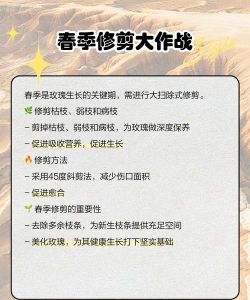 剪下的玫瑰花枝怎样才能栽活 剪下的玫瑰花枝怎样才能栽活