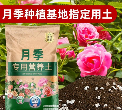 盆栽月季用什么营养土 盆栽月季用什么营养土