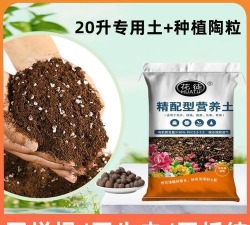 种植金钱兜用什么土 种植金钱兜用什么土