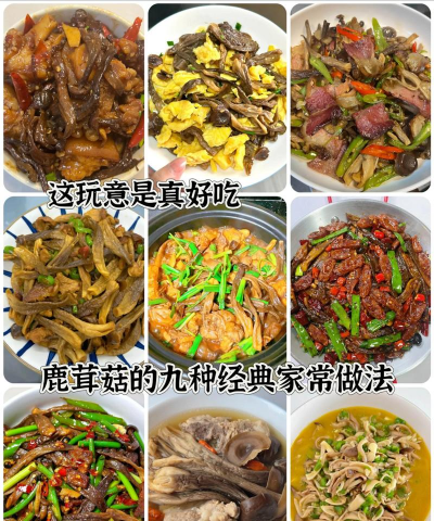 蘑菇的做法 蘑菇的做法