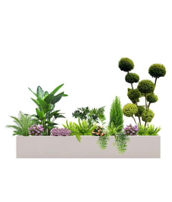 种植箱大藤本怎么种植的 种植箱大藤本怎么种植的