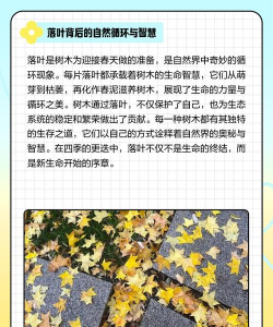 冬天树叶为什么掉光 冬天树叶为什么掉光