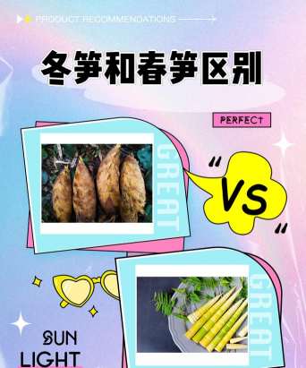 春笋和冬笋的区别 春笋和冬笋的区别