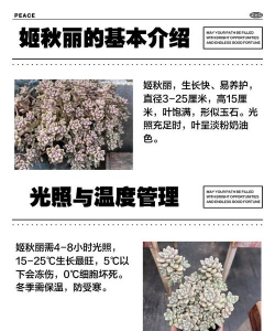 姬秋丽的养殖方法和注意事项 姬秋丽的养殖方法和注意事项