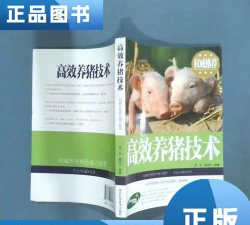 高效养猪技术 高效养猪技术