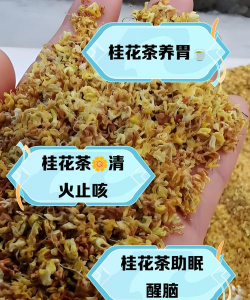 桂花泡茶喝有什么作用 桂花泡茶喝有什么作用