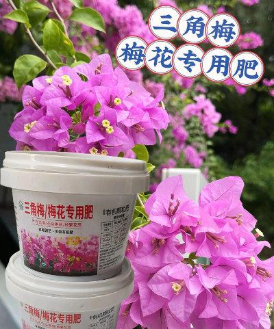 盆栽梅花施什么肥好 盆栽梅花施什么肥好