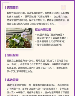 紫罗兰的养护 紫罗兰的养护