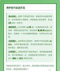 酒瓶兰养护要点 酒瓶兰养护要点