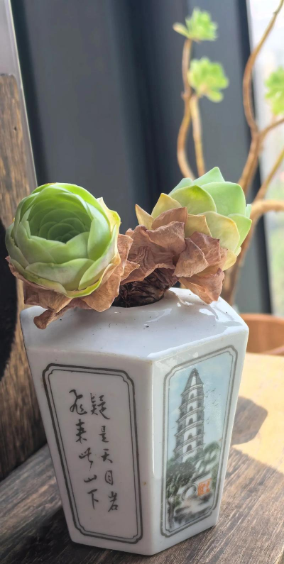 山地玫瑰什么时候浇水 山地玫瑰什么时候浇水