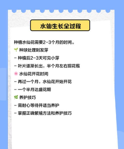 喇叭水仙的繁殖技巧 喇叭水仙的繁殖技巧