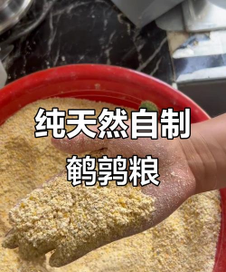 鹌鹑饲料加工方法有哪些 鹌鹑饲料加工方法有哪些
