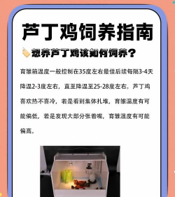 养鹌鹑需要准备什么 养鹌鹑需要准备什么