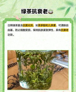 日照绿茶的功效与作用 日照绿茶的功效与作用