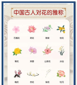 哪些花有美誉之称 哪些花有美誉之称