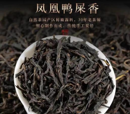 鸭屎香单丛茶的特点是什么 鸭屎香单丛茶的特点是什么