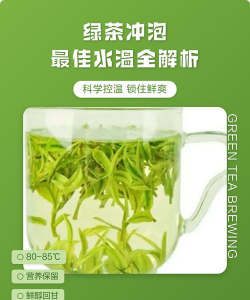 泡绿茶的水温多少度最好 泡绿茶的水温多少度最好