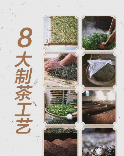 月光白茶工艺制作过程 月光白茶工艺制作过程