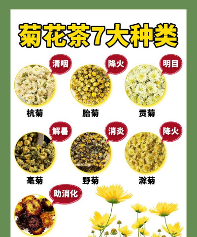 菊花茶的种类有哪些 菊花茶的种类有哪些