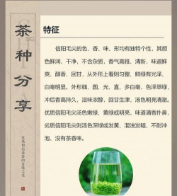 河南信阳毛尖属于什么茶 河南信阳毛尖属于什么茶