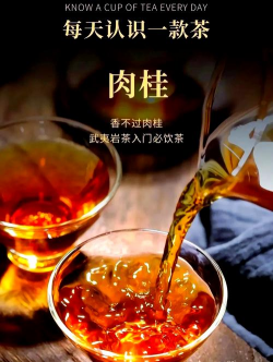 肉桂是什么茶 肉桂是什么茶
