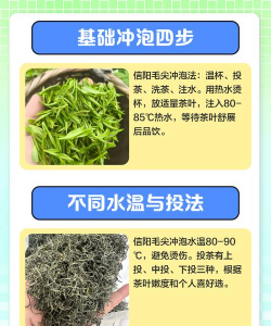 毛尖的冲泡方法 毛尖的冲泡方法