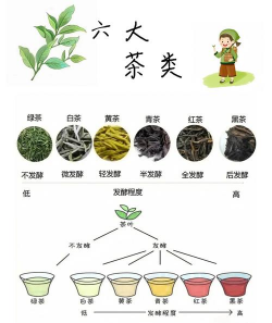 茶叶的分类有哪几种方法 茶叶的分类有哪几种方法