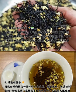 如何做桂花茶 自制桂花茶怎么做 如何做桂花茶 自制桂花茶怎么做